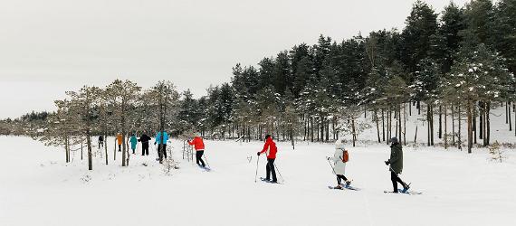 Winterliche Aktivitäten in Estland