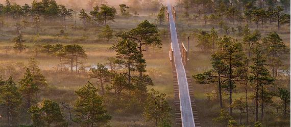 7 paika Eestis, mis on hinnatud tiitliga "roheline sihtkoht"