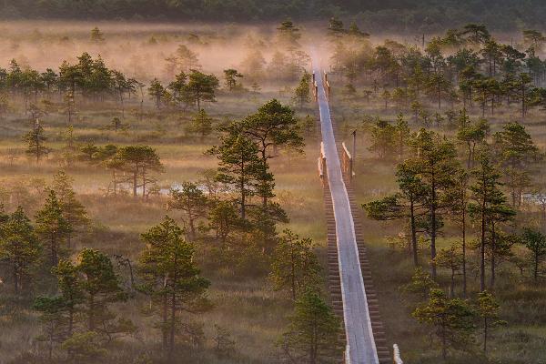 7 paika Eestis, mis on hinnatud tiitliga "roheline sihtkoht"