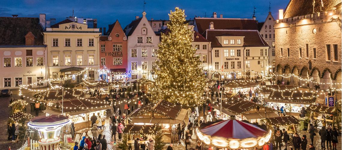 Tallinn's most famous Christmas tree