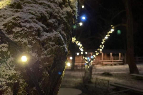 Magische Lichter im Sommergarten Ulila