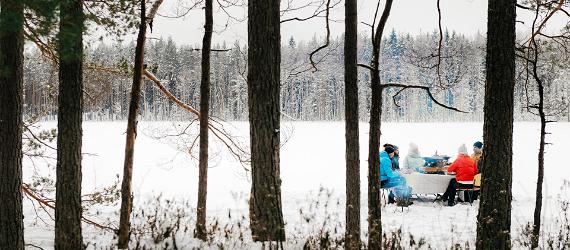 De bästa platserna för vinterpicknick i Estland