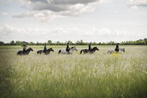 Pferdewanderungen ins Land der Feen - mit dem Bauernschlitten, mit der Kutsche oder zu Pferd