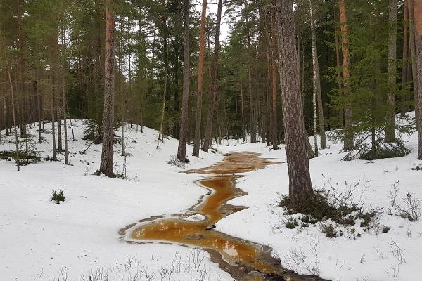 Der Wanderweg von Uljaste