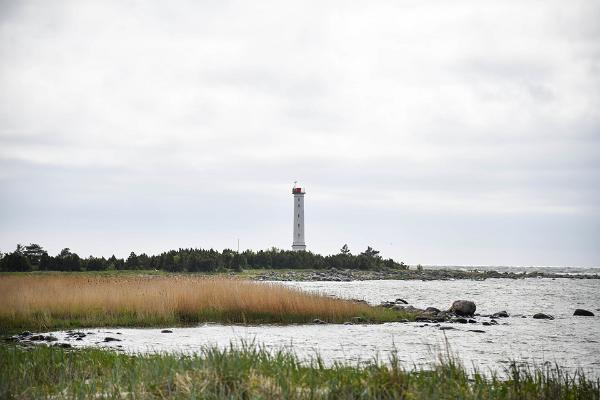 Halbinsel Sõmeri und Leuchtturm