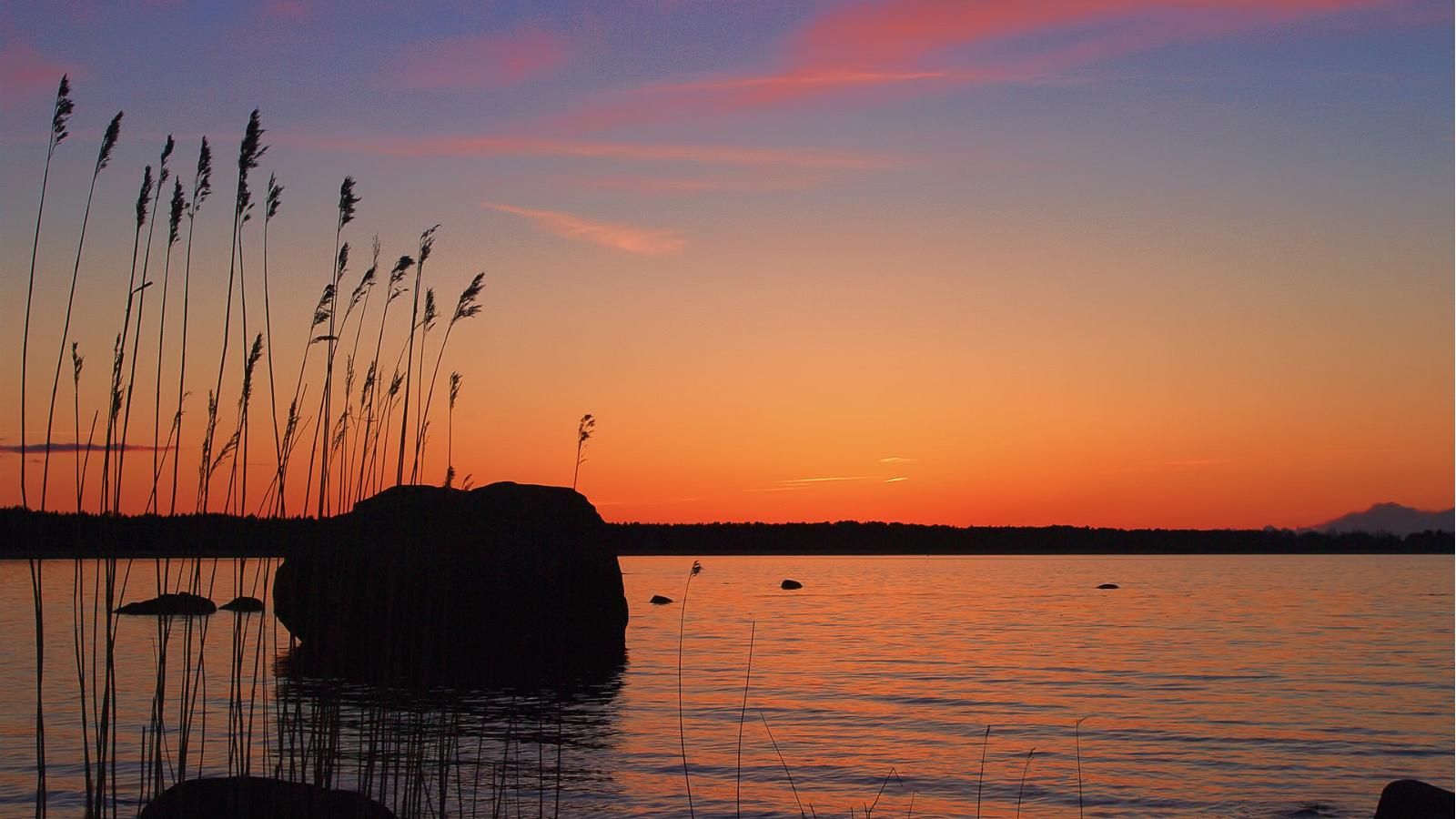 Rundreise In Estland F R Naturfreunde