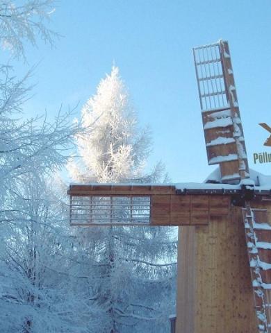 Estonian Agricultural Museum, windmill in the middle of snowy trees