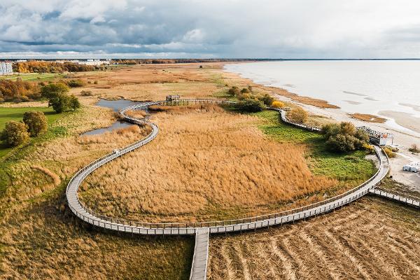 Wanderpfad auf der Strandwiese in Pärnu