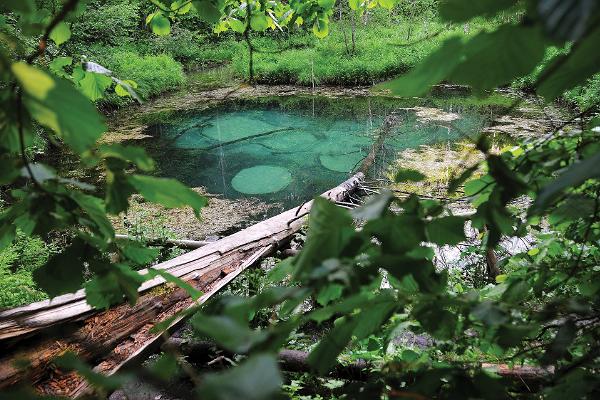 Blue Springs of Saula, sacrifical springs