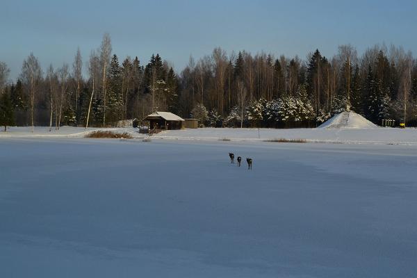 Дымная баня в центре отдыха Toosikannu