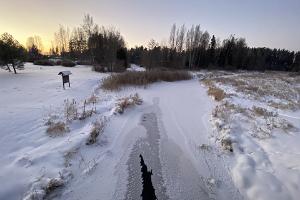 Kääpa river in winter