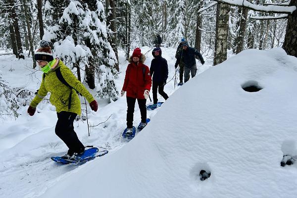 Guided snowshoe hike in Koitjärve Bog