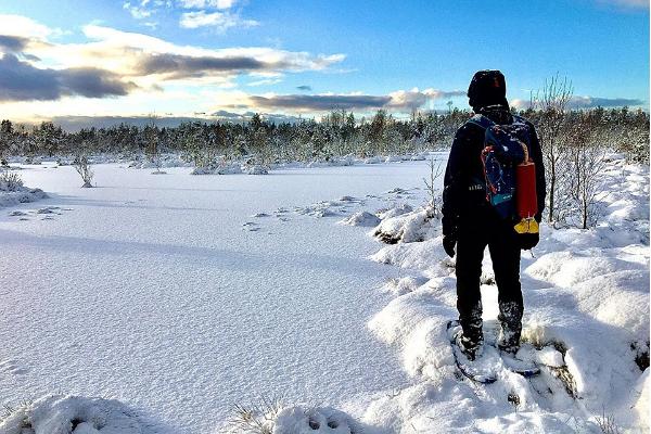 Ausflug auf Moorschuhen im Moor Kõnnu Suursoo