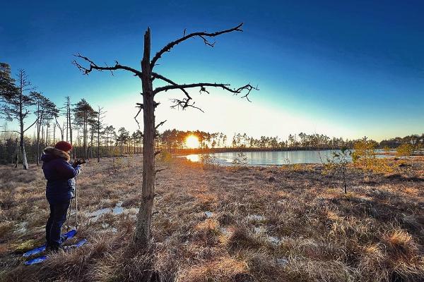 Snowshoe hike in Viru bog