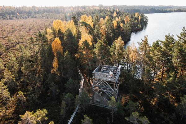 RMK Nigula raba õpperada ja vaatetorn