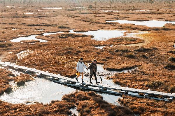 RMK Nigula raba õpperada ja vaatetorn