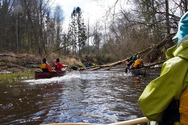 Die große Überschwemmung in Soomaa (dt. Moorland) - die örtlichen Lebensverhältnisse, ein Ausflug und die Rauchsauna in Karuskose 