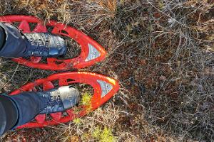 "Seikle Vabaks" pārgājiens ar sniega kurpēm Somā nacionālajā parkā