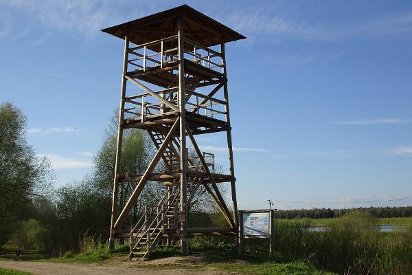 Linnutee matkaraja linnuvaatlustorn
