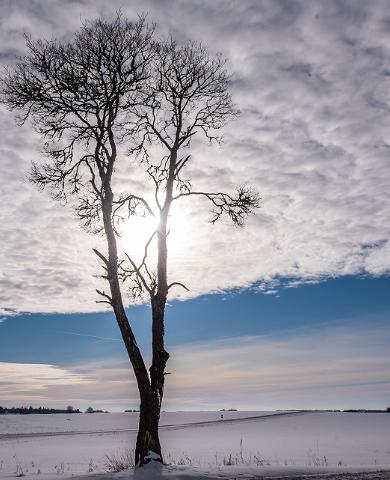 Keset talve Kesk-Eestisse, Puhka Eestis