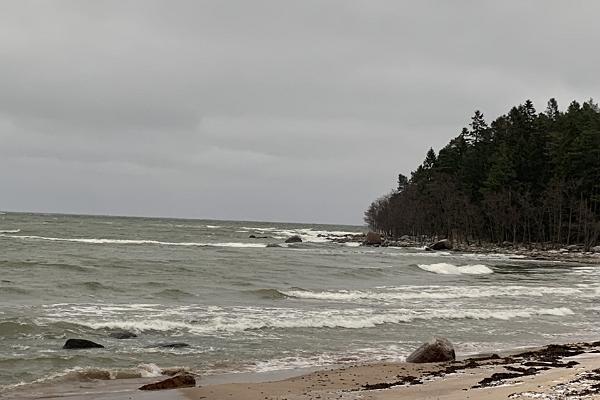 Loodus, Kultuur, Kohalik giid, Nature, Culture, Local guide, Lahemaa National Park, hiking