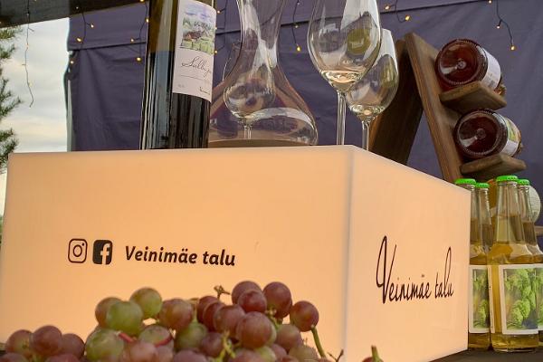 Giidiga ekskursioon Veinimäe viinamarjaistanduses