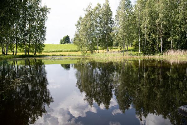 Metsatu Valge Elevandi puhkemaja