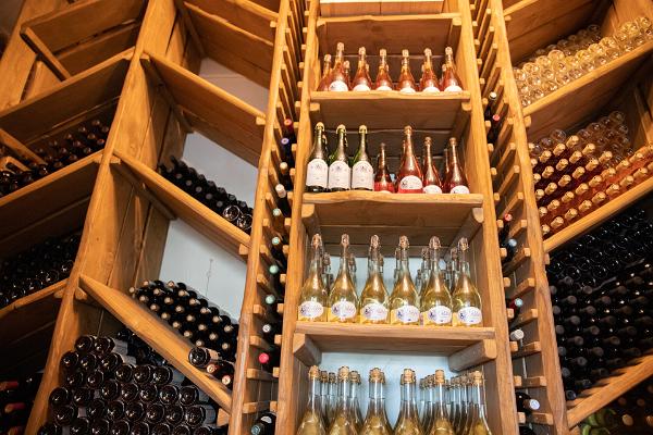 Visit to the Murimäe Wine Cellar and Vineyard