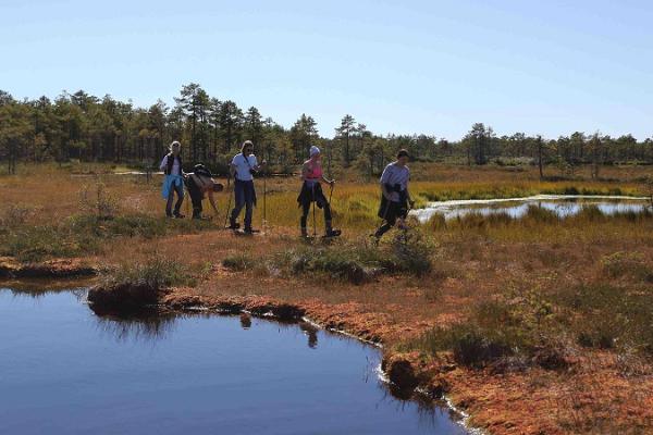 A bog hike in the Kakerdaja bog