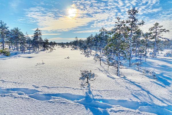 Vandringsled i Kakerdaja högmosse