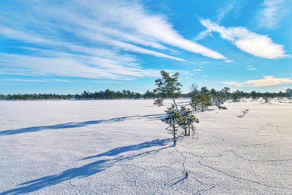 Vandringsled i Kakerdaja högmosse