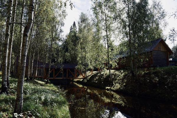 Оздоравливающий ритуал бани по-черному в Männiku Metsatalu