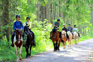 Mustamõisa horse-riding hikes