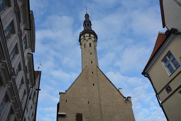 Rathausturm und Vana Toomas (dt. der alte Thomas)