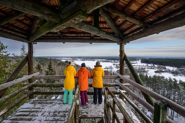 Tellingumäe viewing tower and recreational area