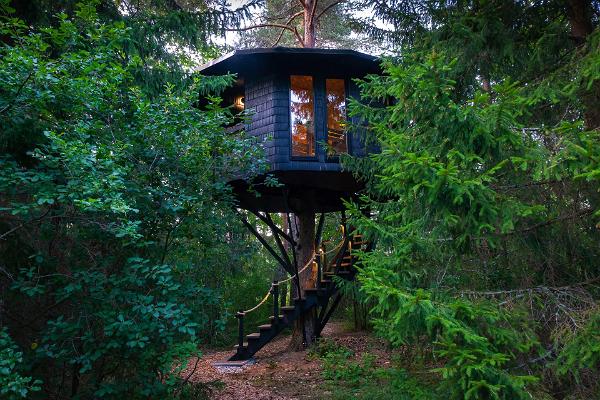 Tree house sauna