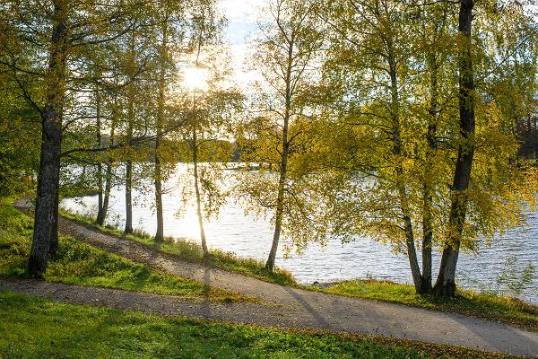 Lake Pühajärv hiking trail