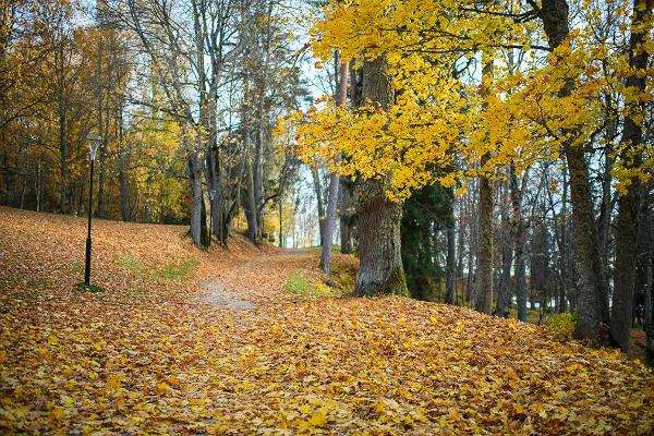 Lake Pühajärv hiking trail