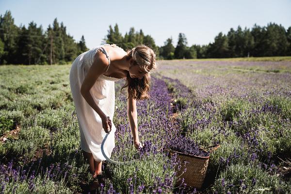 Lavendlitalu paradiisisaar Hiiumaal