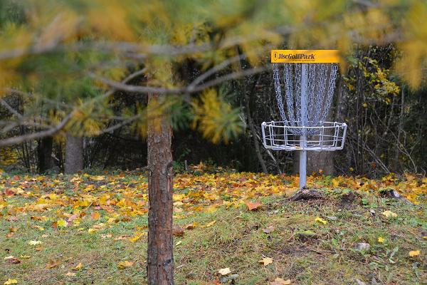 Discgolf-Park in Annikoru im Herbst, gelber Korb und gelbe Blätter auf dem Rasen