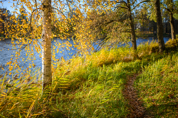 Lake Pühajärv hiking trail