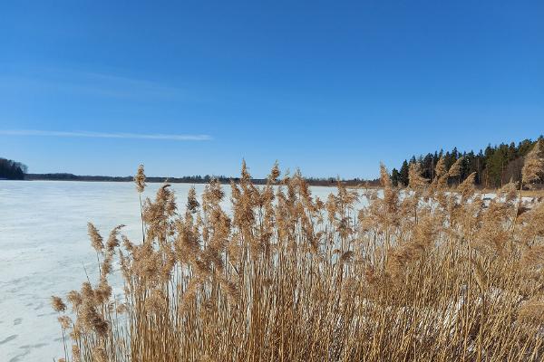 Wanderweg Jõemõisa 