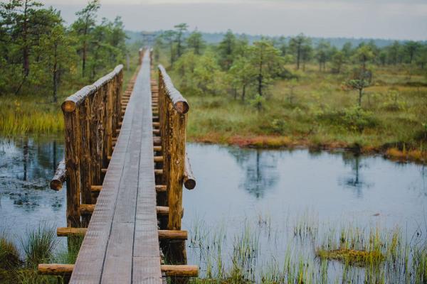 Vandringsleden vid sjön Endla