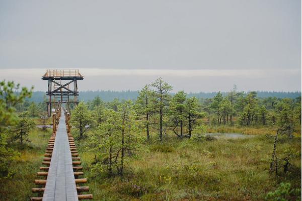 Vandringsleden vid sjön Endla