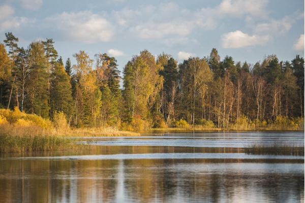 RMK Lake Endla hiking trail