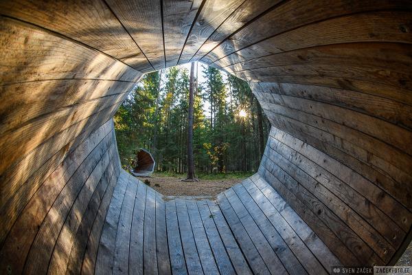 Forest megaphones in Võru County