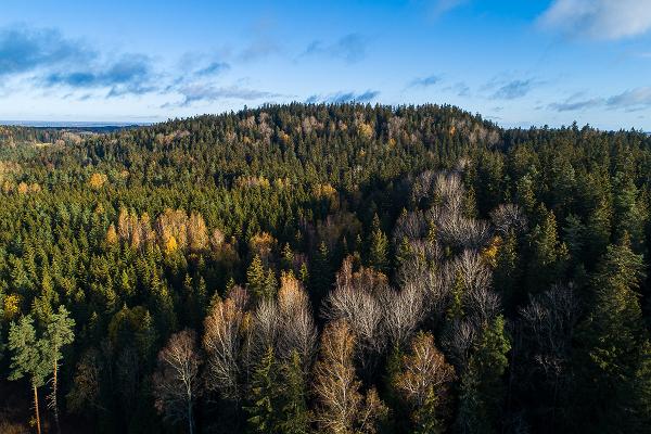 Wanderweg von Vällamäe