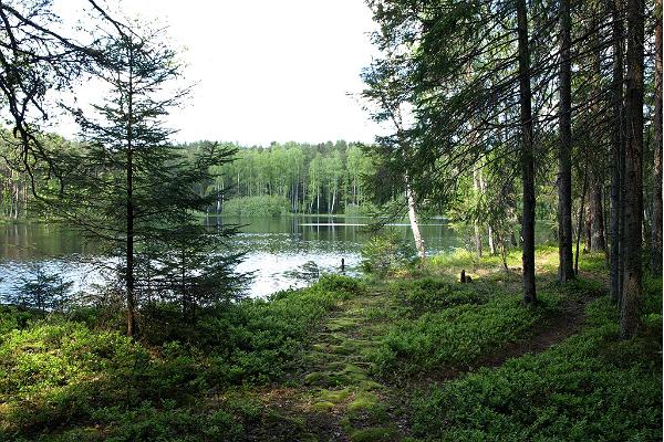 RMK Paunküla hills hiking trails, lake Väike-Kaksjärv