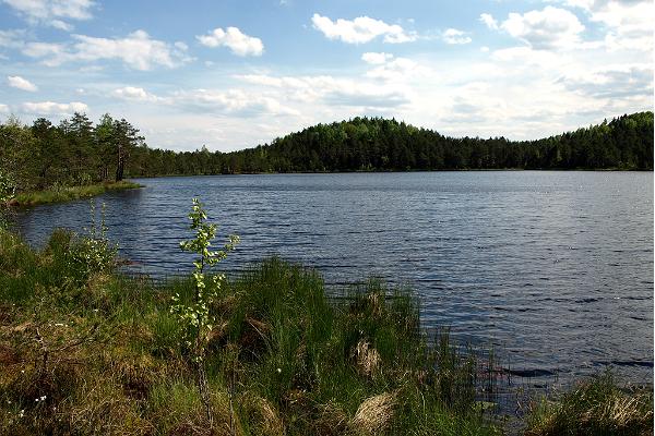 RMK:n Paunkülan mäkien retkipolut, Rahkjärvi