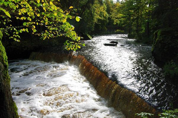 Der RMK Wanderweg in Nõmmeveski-Liiapeksi